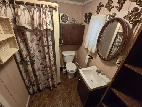 Bath - 186 Savage Dr, Mio, MI 48647 photo 1 of 1