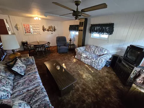 Living - 186 Savage Dr, Mio, MI 48647 photo 3 of 3