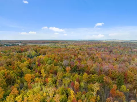 1746 Beckon Rd, Pellston, MI 49769 photo 31