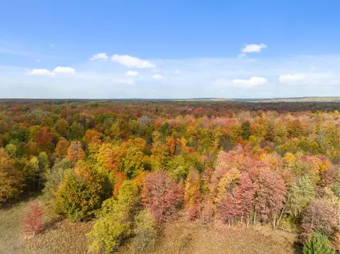 1746 Beckon Rd, Pellston, MI 49769 photo 30