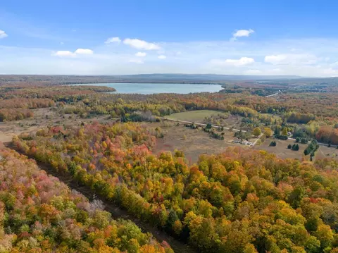 1746 Beckon Rd, Pellston, MI 49769 photo 28
