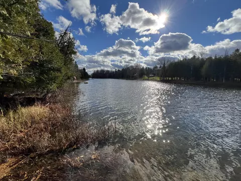 6608 Black River Trl, Cheboygan, MI 49721