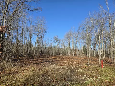 5850 Bear Lake Rd, Johannesburg, MI 49751