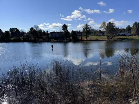 Off Twin Lakes Road #2, Cheboygan, MI 49721