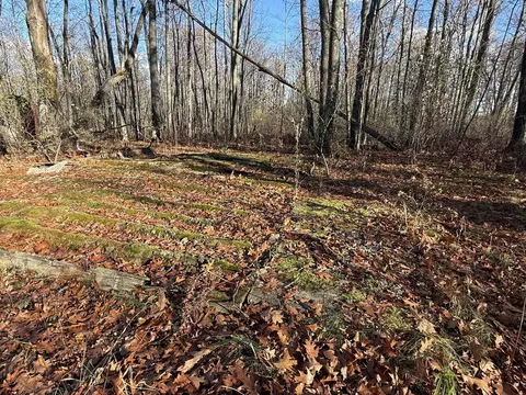 6505 Klein Rd, Hillman, MI 49746 photo 7