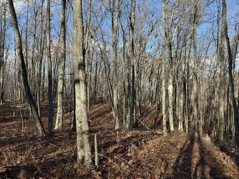 6505 Klein Rd, Hillman, MI 49746