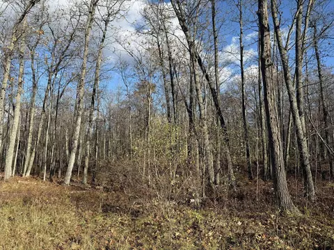 6505 Klein Rd, Hillman, MI 49746 photo 5