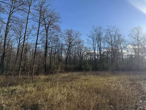 6505 Klein Rd, Hillman, MI 49746 photo 9