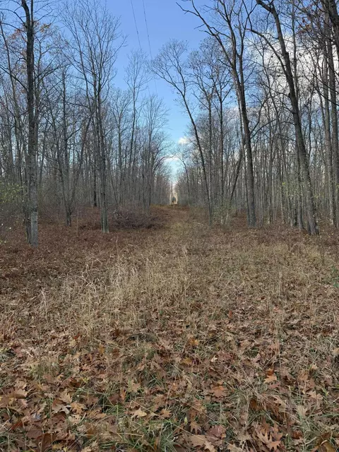 6505 Klein Rd, Hillman, MI 49746 photo 10