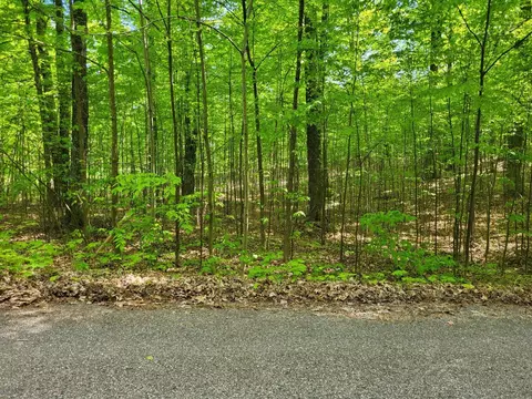 6 Bears Paw Trail Vanderbilt Mi 49795, Vanderbilt, MI 49795