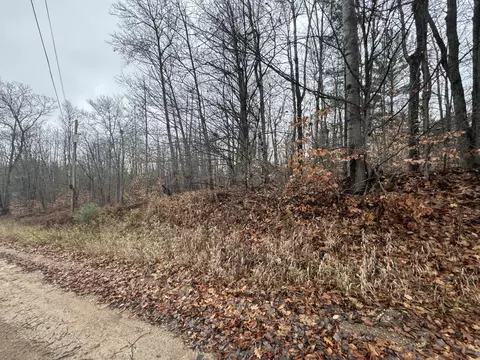 16204 Timber Line Drive Wolverine Mi 49799 Dr, Wolverine, MI 49799