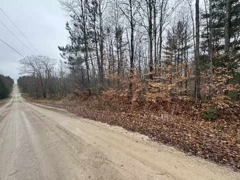 16204 Timber Line Drive Wolverine Mi 49799 Dr, Wolverine, MI 49799 photo 3