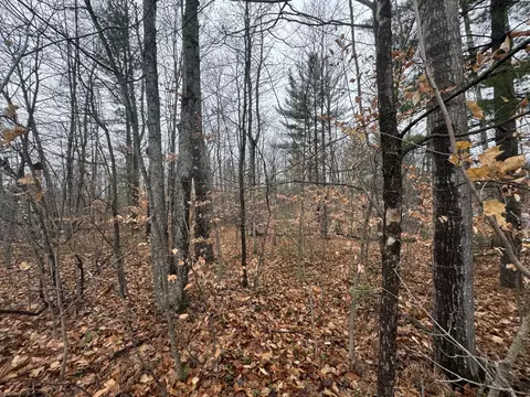 16204 Timber Line Drive Wolverine Mi 49799 Dr, Wolverine, MI 49799 photo 4