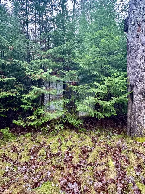 Undisclosed, Grayling, MI 49738 photo 6