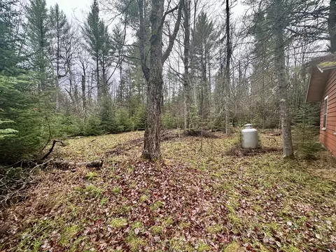 Undisclosed, Grayling, MI 49738 photo 12
