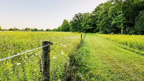 Other - 6671 E Arnold Lake Rd, Harrison, MI 48625 photo 55 of 58