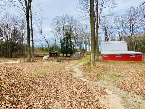 Exterior - 6671 E Arnold Lake Rd, Harrison, MI 48625 photo 10 of 26