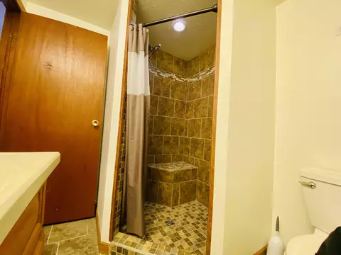 Bath - 6671 E Arnold Lake Rd, Harrison, MI 48625 photo 4 of 14