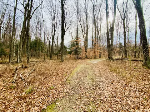 Other - 6671 E Arnold Lake Rd, Harrison, MI 48625 photo 47 of 58