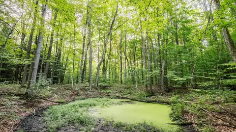Other - 6671 E Arnold Lake Rd, Harrison, MI 48625 photo 48 of 58