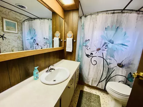 Bath - 6671 E Arnold Lake Rd, Harrison, MI 48625 photo 1 of 14