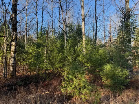 Lone Pine 10 Acres Road, Gaylord, MI 49735