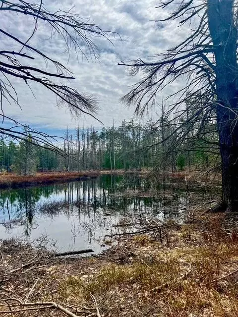 Carter Pavey Road, Gaylord, MI 49735