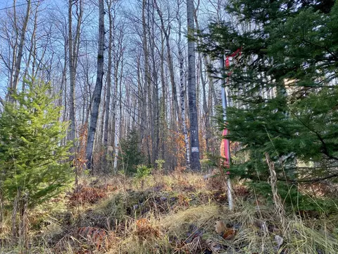 lot S 36-39 Chemin De La Montagne, Wolverine, MI 49799