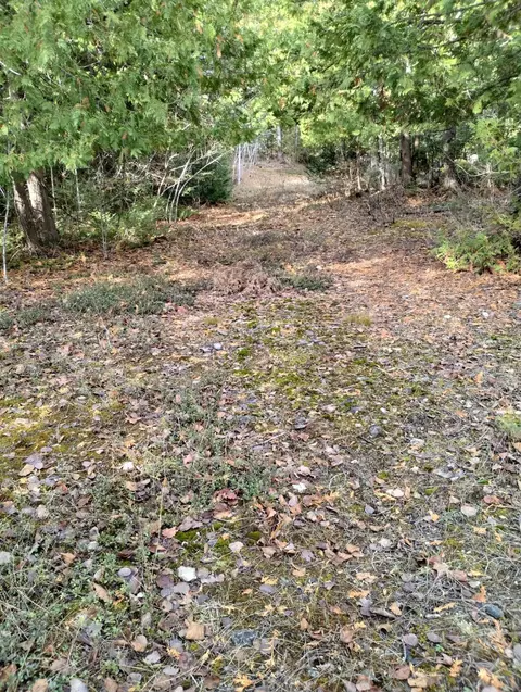 Nhn Hamilton Road, Alpena, MI 49707