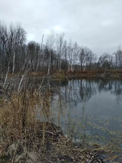 lot11 Wilderness Drive Mancelona Mi 49659, Mancelona, MI 49659