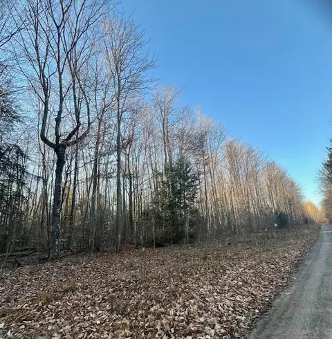 Big Sky Trail 10 Acres, Gaylord, MI 49735