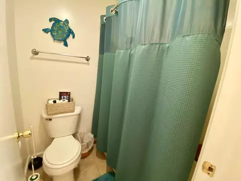 Bath - 130 Flag Point Dr #2 1, Roscommon, MI 48653 photo 4 of 11