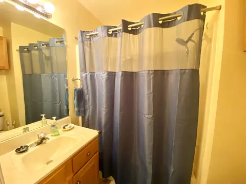 Bath - 130 Flag Point Dr #2 1, Roscommon, MI 48653 photo 9 of 11