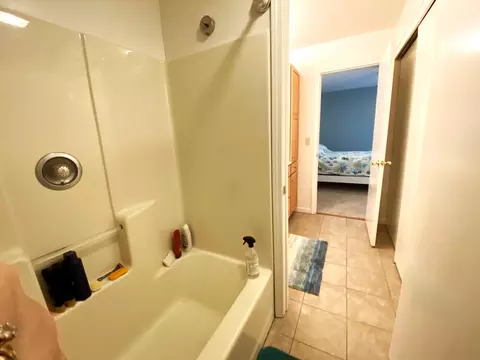 Bath - 130 Flag Point Dr #2 1, Roscommon, MI 48653 photo 7 of 11