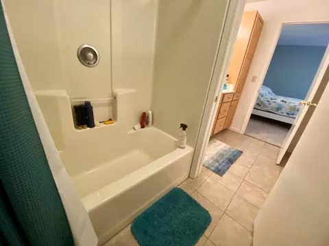 Bath - 130 Flag Point Dr #2 1, Roscommon, MI 48653 photo 6 of 11