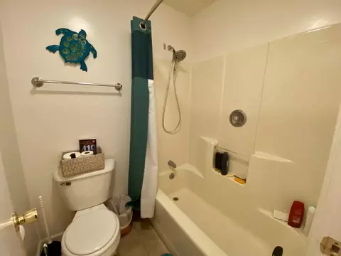 Bath - 130 Flag Point Dr #2 1, Roscommon, MI 48653 photo 5 of 11