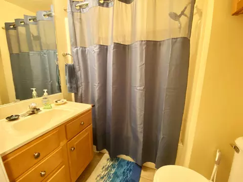 Bath - 130 Flag Point Dr #2 1, Roscommon, MI 48653 photo 8 of 11