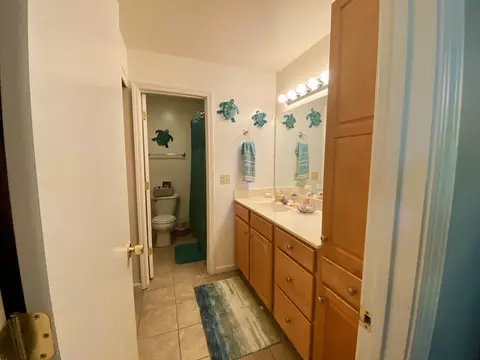 Bath - 130 Flag Point Dr #2 1, Roscommon, MI 48653 photo 1 of 11