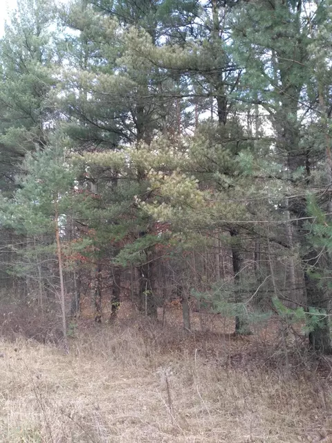 V/l Murner Road, Gaylord, MI 49735