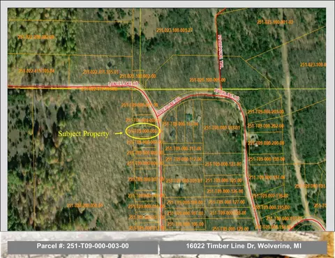 16022 Timber Line Dr #LOT 3, Wolverine, MI 49799 photo 11