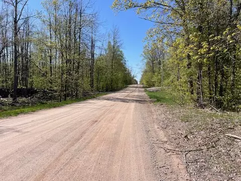 16022 Timber Line Dr #LOT 3, Wolverine, MI 49799 photo 12
