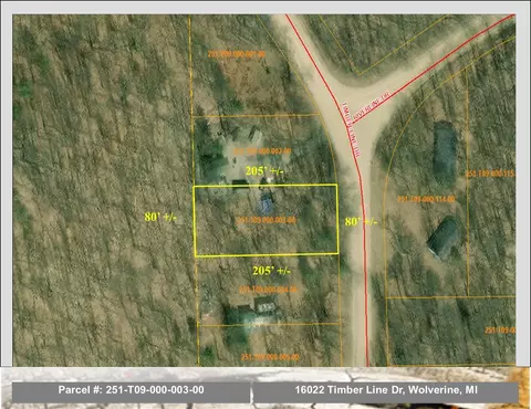 16022 Timber Line Dr #LOT 3, Wolverine, MI 49799 photo 4