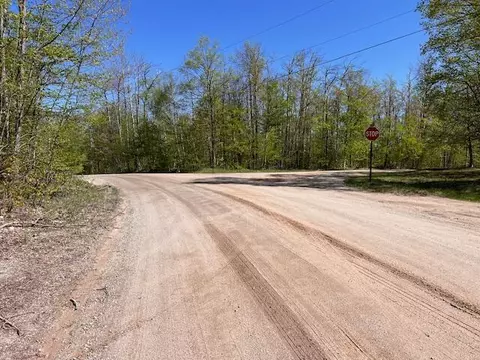 16022 Timber Line Dr #LOT 3, Wolverine, MI 49799 photo 13