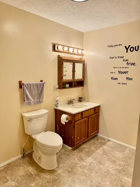 593 N Circle Drive Mio Mi 48647 Dr, Mio, MI 48647 photo 10