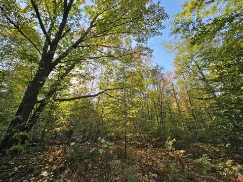 Off Walker Road, Afton, MI 49705 photo 7