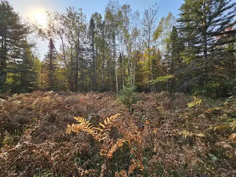Off Walker Road, Afton, MI 49705 photo 10
