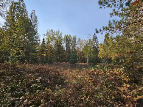 Off Walker Road, Afton, MI 49705 photo 9