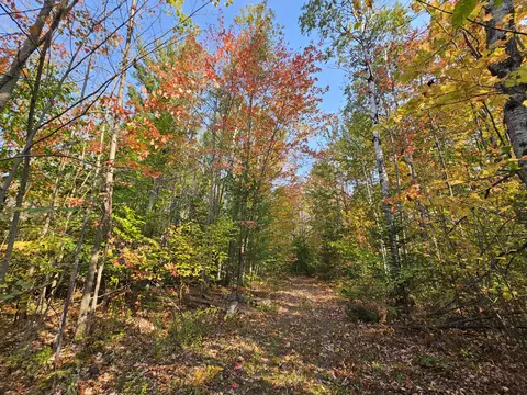 Off Walker Road, Afton, MI 49705 photo 3