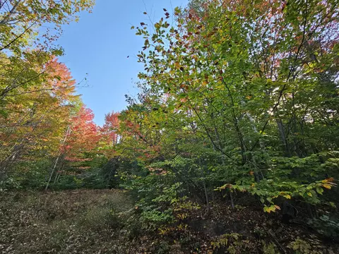 Off Walker Road, Afton, MI 49705 photo 6
