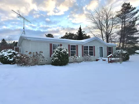 Exterior - 6740 E Bogardus St, Pellston, MI 49769 photo 2 of 2